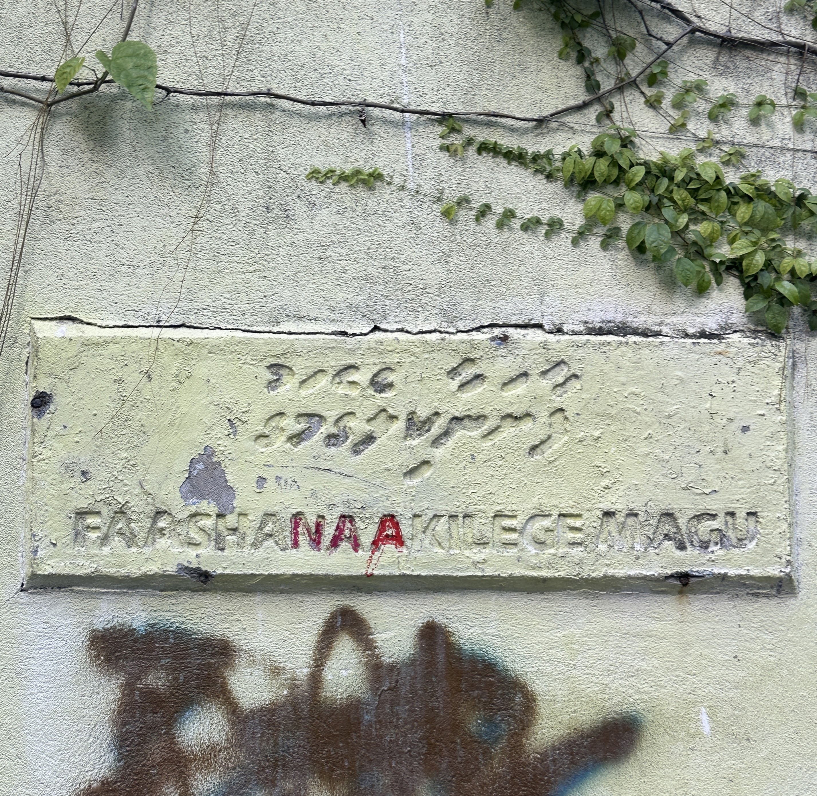 Faashanaakilegemagu